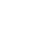 Wild Moonstone Alchemy Logo